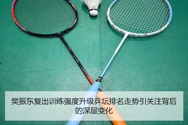 樊振东复出训练强度升级乒坛排名走势引关注背后的深层变化
