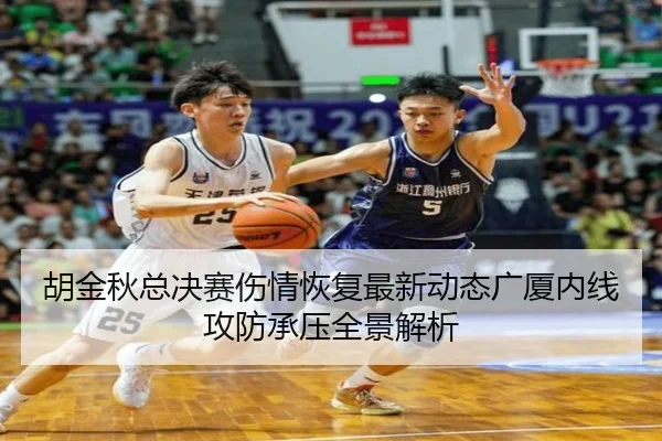 胡金秋总决赛伤情恢复最新动态广厦内线攻防承压全景解析